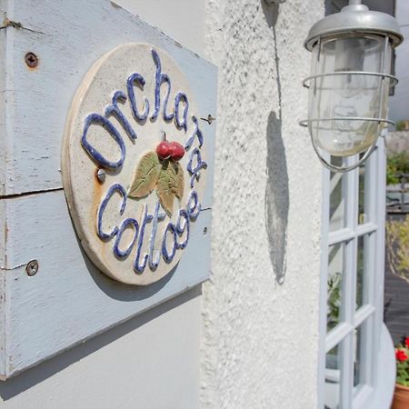 Orchard Cottage Sidmouth Zewnętrze zdjęcie