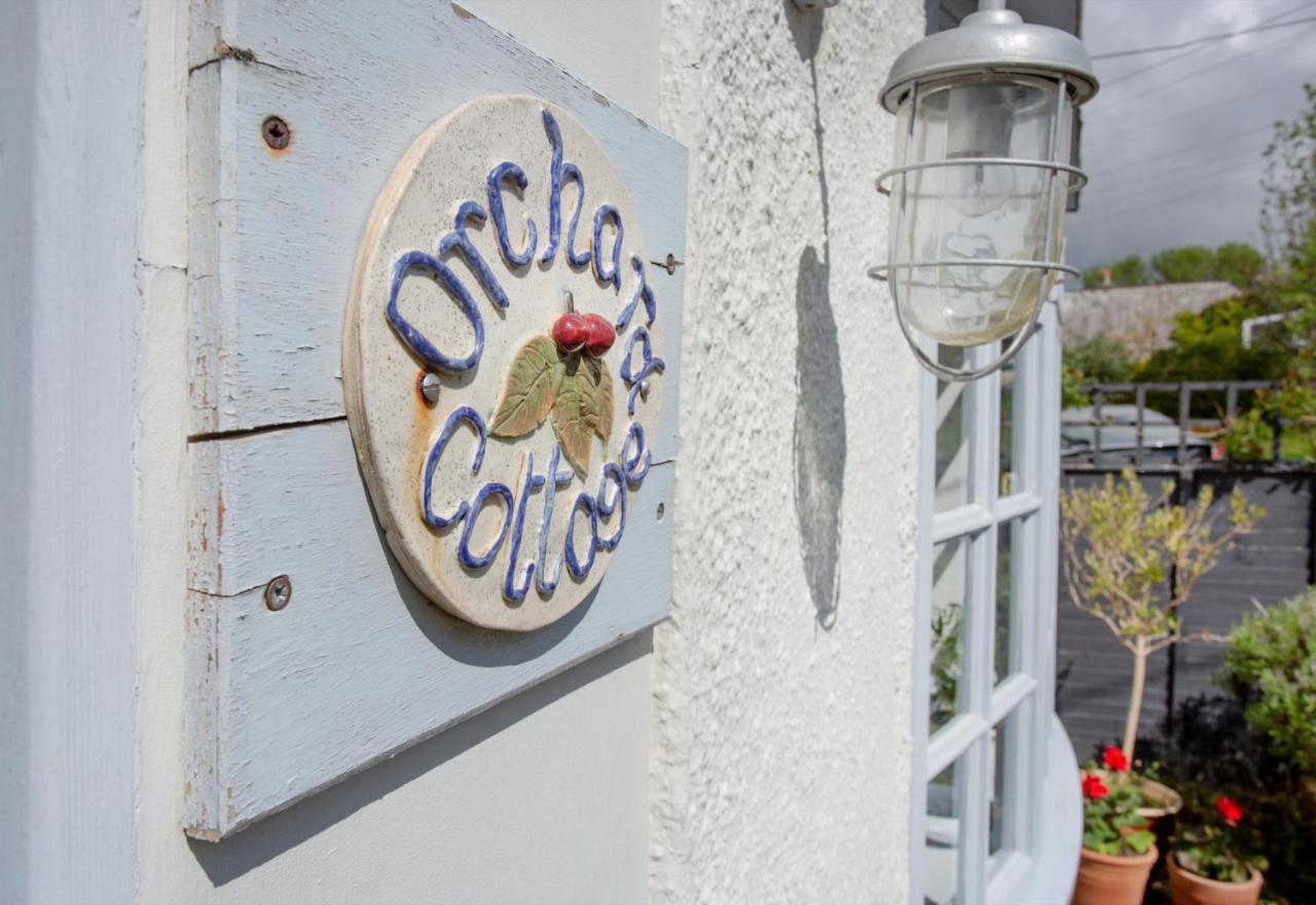Orchard Cottage Sidmouth Zewnętrze zdjęcie